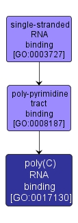 GO:0017130 - poly(C) RNA binding (interactive image map)