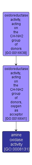 GO:0008131 - amine oxidase activity (interactive image map)