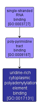 GO:0017131 - uridine-rich cytoplasmic polyadenylylation element binding (interactive image map)