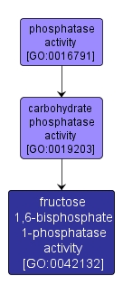 GO:0042132 - fructose 1,6-bisphosphate 1-phosphatase activity (interactive image map)