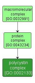 GO:0002133 - polycystin complex (interactive image map)