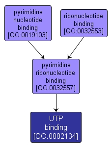 GO:0002134 - UTP binding (interactive image map)