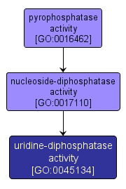 GO:0045134 - uridine-diphosphatase activity (interactive image map)