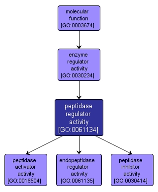 GO:0061134 - peptidase regulator activity (interactive image map)