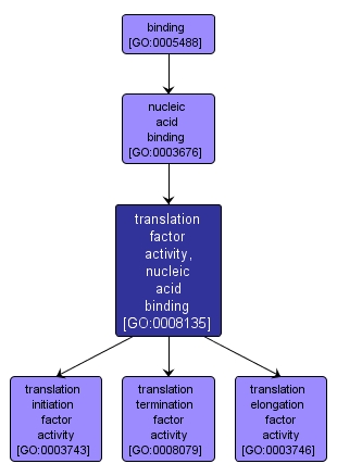 GO:0008135 - translation factor activity, nucleic acid binding (interactive image map)