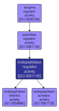 GO:0061135 - endopeptidase regulator activity (interactive image map)