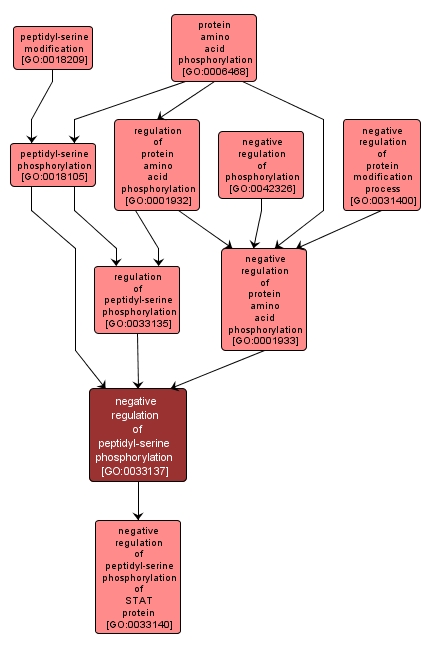 GO:0033137 - negative regulation of peptidyl-serine phosphorylation (interactive image map)