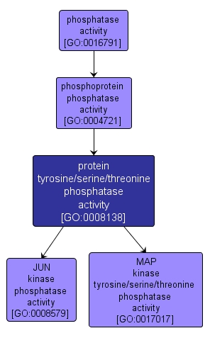 GO:0008138 - protein tyrosine/serine/threonine phosphatase activity (interactive image map)
