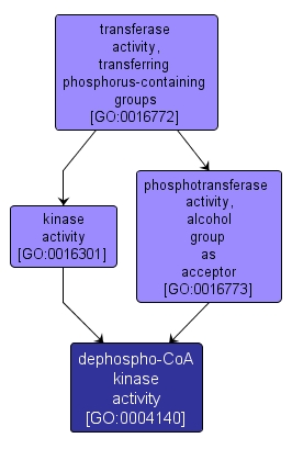 GO:0004140 - dephospho-CoA kinase activity (interactive image map)