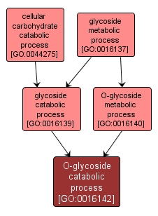 GO:0016142 - O-glycoside catabolic process (interactive image map)