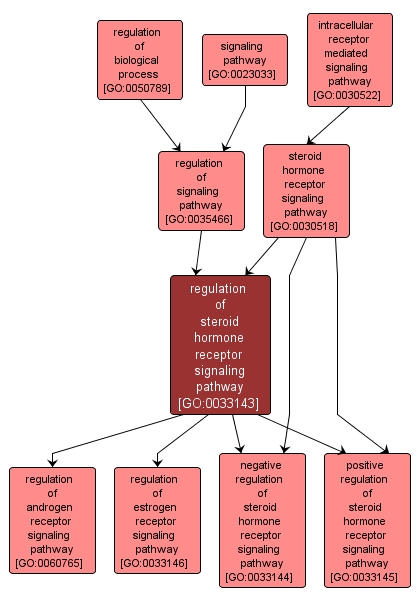 GO:0033143 - regulation of steroid hormone receptor signaling pathway (interactive image map)