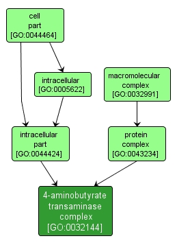 GO:0032144 - 4-aminobutyrate transaminase complex (interactive image map)