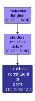 GO:0008147 - structural constituent of bone (interactive image map)