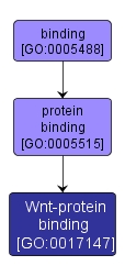 GO:0017147 - Wnt-protein binding (interactive image map)