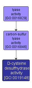 GO:0019148 - D-cysteine desulfhydrase activity (interactive image map)