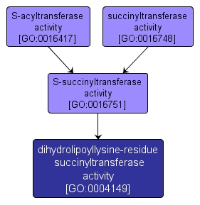 GO:0004149 - dihydrolipoyllysine-residue succinyltransferase activity (interactive image map)