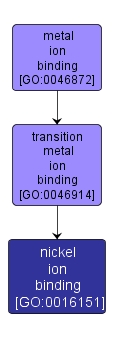 GO:0016151 - nickel ion binding (interactive image map)