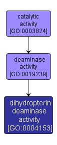GO:0004153 - dihydropterin deaminase activity (interactive image map)