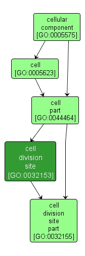 GO:0032153 - cell division site (interactive image map)