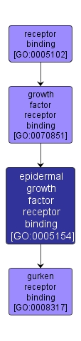 GO:0005154 - epidermal growth factor receptor binding (interactive image map)