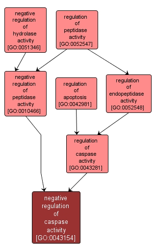 GO:0043154 - negative regulation of caspase activity (interactive image map)