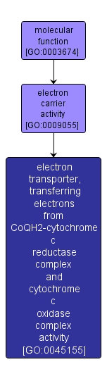 GO:0045155 - electron transporter, transferring electrons from CoQH2-cytochrome c reductase complex and cytochrome c oxidase complex activity (interactive image map)
