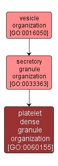 GO:0060155 - platelet dense granule organization (interactive image map)