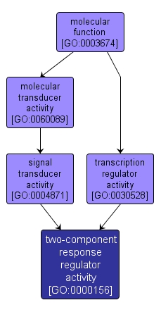 GO:0000156 - two-component response regulator activity (interactive image map)