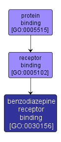 GO:0030156 - benzodiazepine receptor binding (interactive image map)