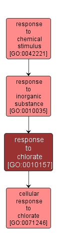 GO:0010157 - response to chlorate (interactive image map)
