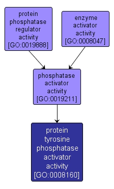 GO:0008160 - protein tyrosine phosphatase activator activity (interactive image map)