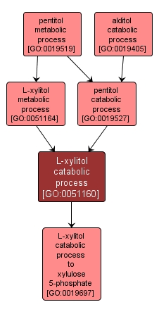 GO:0051160 - L-xylitol catabolic process (interactive image map)
