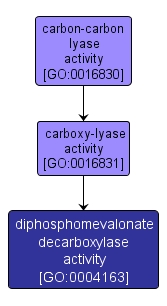 GO:0004163 - diphosphomevalonate decarboxylase activity (interactive image map)