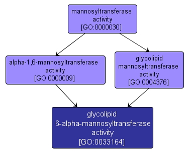 GO:0033164 - glycolipid 6-alpha-mannosyltransferase activity (interactive image map)