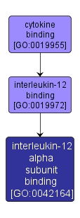 GO:0042164 - interleukin-12 alpha subunit binding (interactive image map)