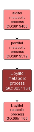 GO:0051164 - L-xylitol metabolic process (interactive image map)