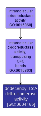 GO:0004165 - dodecenoyl-CoA delta-isomerase activity (interactive image map)