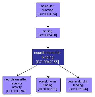 GO:0042165 - neurotransmitter binding (interactive image map)