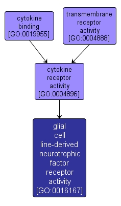 GO:0016167 - glial cell line-derived neurotrophic factor receptor activity (interactive image map)
