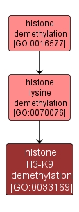 GO:0033169 - histone H3-K9 demethylation (interactive image map)