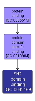GO:0042169 - SH2 domain binding (interactive image map)