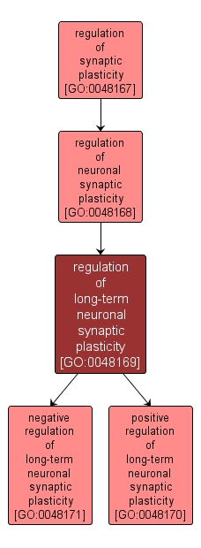 GO:0048169 - regulation of long-term neuronal synaptic plasticity (interactive image map)