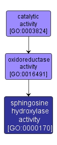 GO:0000170 - sphingosine hydroxylase activity (interactive image map)