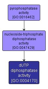 GO:0004170 - dUTP diphosphatase activity (interactive image map)