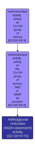 GO:0019170 - methylglyoxal reductase (NADH-dependent) activity (interactive image map)