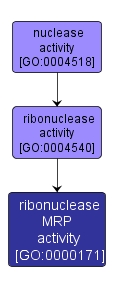 GO:0000171 - ribonuclease MRP activity (interactive image map)