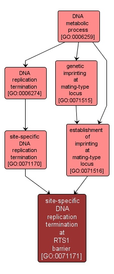 YRC Public Data Repository - Gene Ontology - site-specific DNA ... YRC Public Data Repository - Gene Ontology - site-specific DNA ...