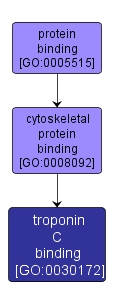 GO:0030172 - troponin C binding (interactive image map)