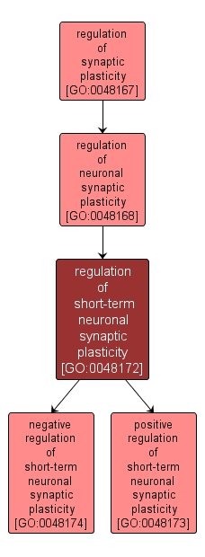 GO:0048172 - regulation of short-term neuronal synaptic plasticity (interactive image map)