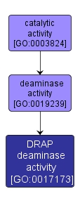 GO:0017173 - DRAP deaminase activity (interactive image map)